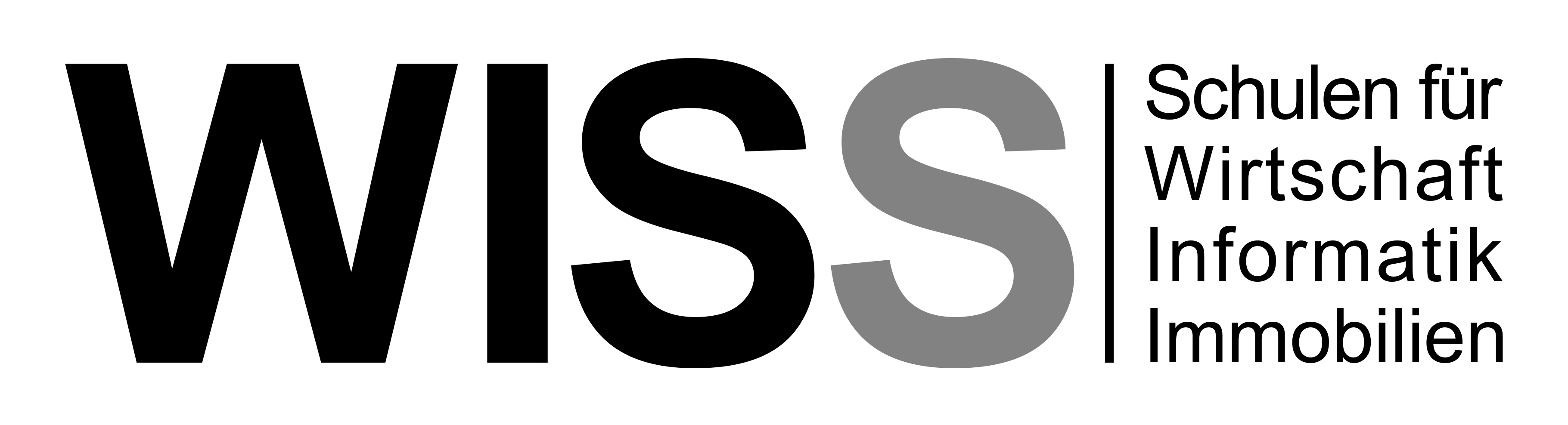 Logo BIG WISS21